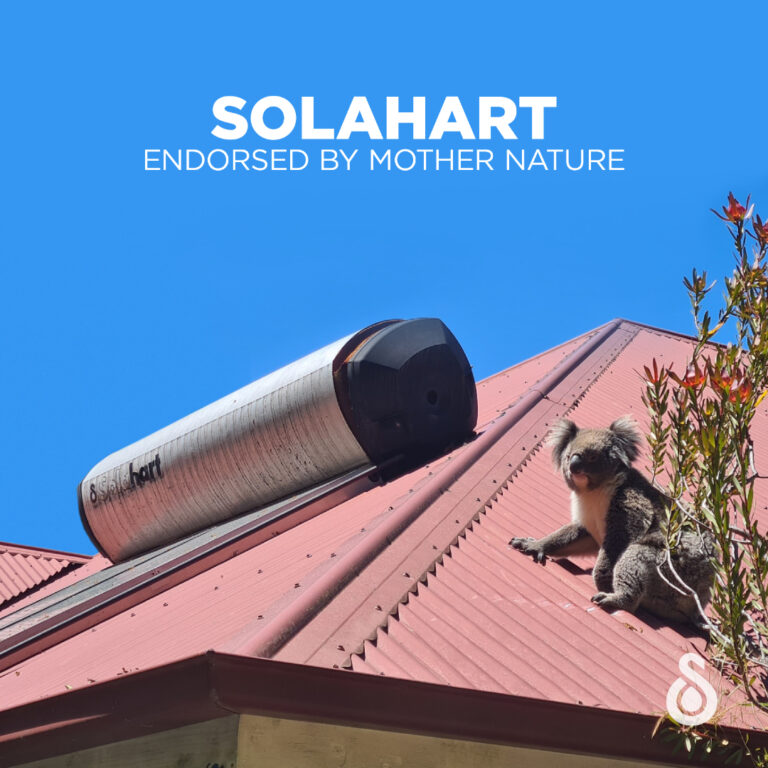 Solar power installation in Taigum by Solahart Strathpine and Redcliffe